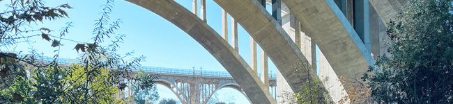 MrsOswald's header image