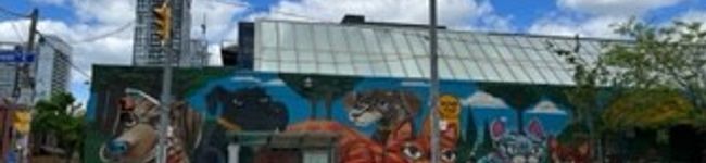 CANADOLL's header image