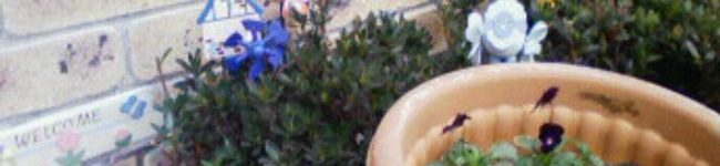 chereみゆと's header image