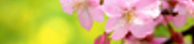 ももねね's header image