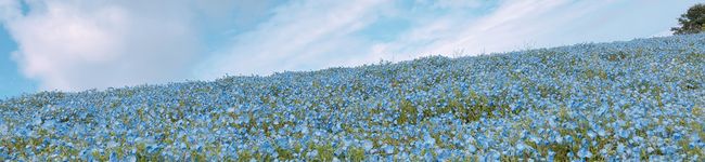 miwaママさん's header image