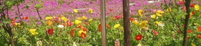 ＭＩＴ's header image