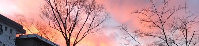 クックほたる's header image