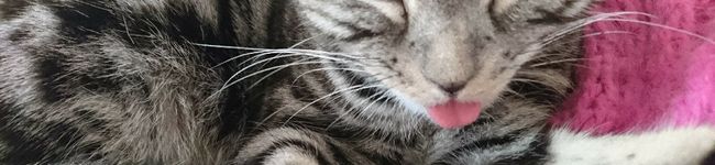ななつぼし❤'s header image