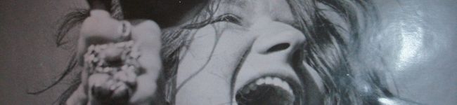 nechi33's header image