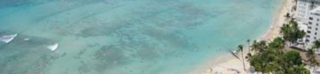 pandyda's header image