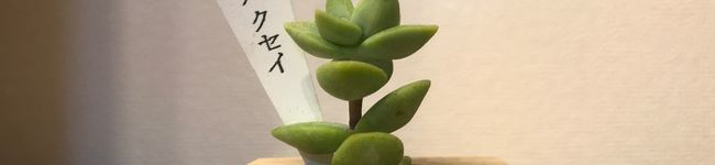 松下料理長's header image