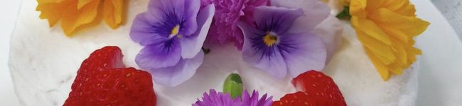 *☆*sr*☆*'s header image