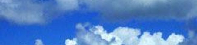チンツァイ's header image