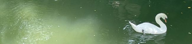 クックFJ5BNF☆'s header image