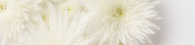 kyk91x's header image