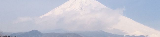 夢夢☆レモン's header image