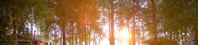 ogk519's header image
