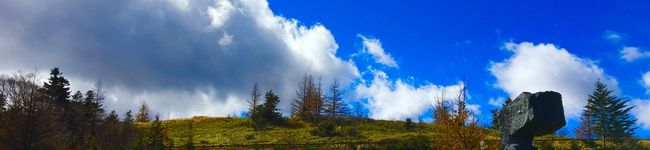 meakokoo's header image