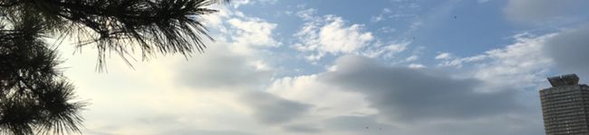 tores_dq's header image