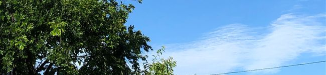 ぽんぽん堂's header image
