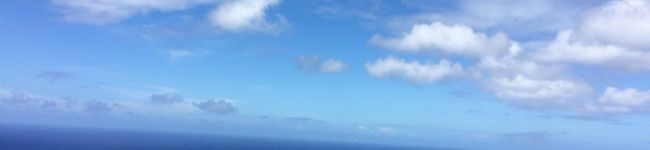 わたに家の筋肉旦那's header image