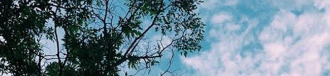 あんこはつぶあん☆'s header image