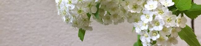 mizutaaan's header image