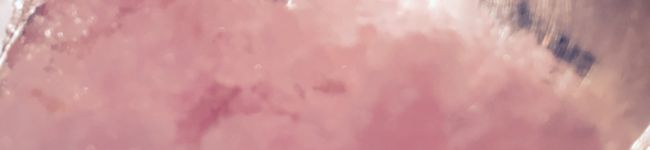 Babaadrian's header image