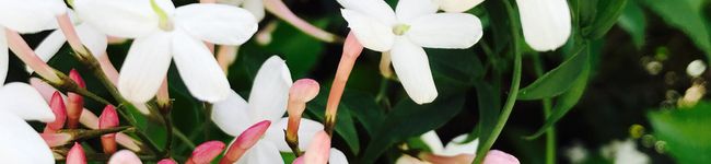 ＊7人ファミリー＊'s header image