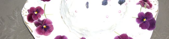 ミトンミトン's header image