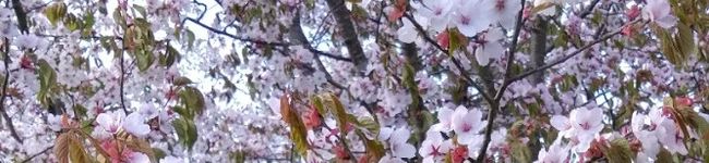 ふでぺん's header image