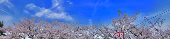 クック7M1HSO☆'s header image
