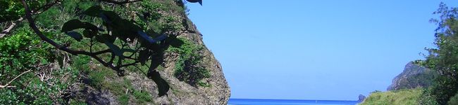 真実の農村's header image