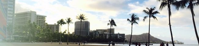 mo524y's header image