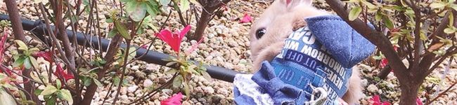 Rianaஐ's header image