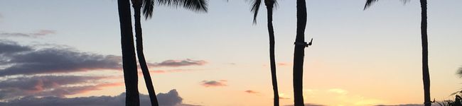 nanae___'s header image
