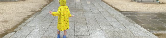 ＊ARISAORI＊'s header image
