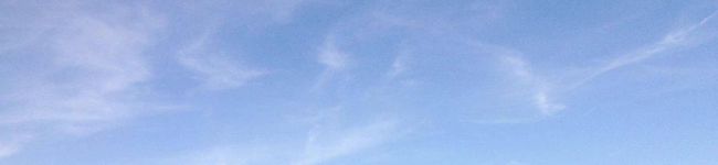 miimama480's header image
