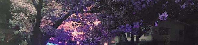 プリ♪♪'s header image