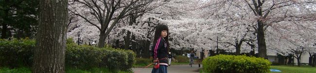 yuzuhikonoie's header image