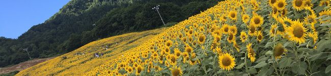 えれmama☆'s header image