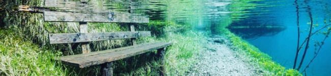 ☆kikisena☆'s header image