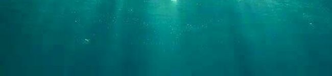 ♪NAA♪'s header image