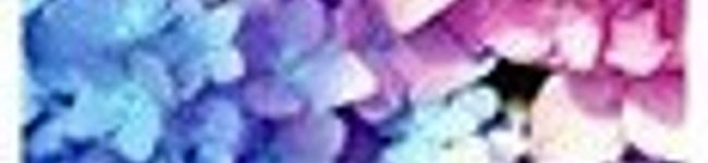 みえねこ＠'s header image