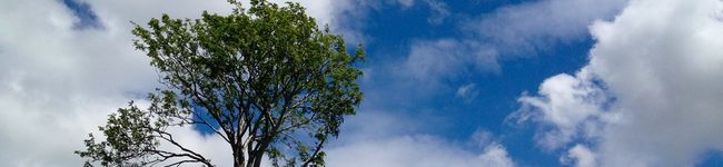 Cymru食堂's header image