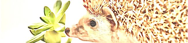 ○○○まる○○○'s header image