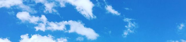 雑魚_'s header image