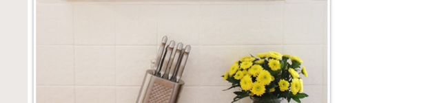 Vegetarin's header image