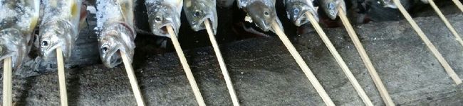 まるちょむ's header image