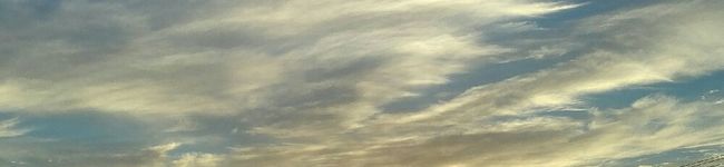 ミツ～'s header image