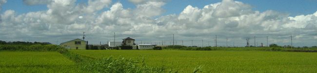 ばり子's header image
