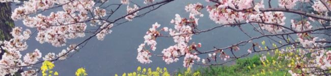 まぁーるりん's header image