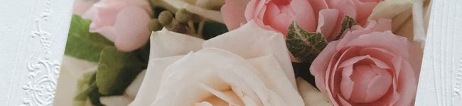 ピノ助's header image