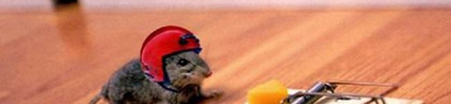 ＭＡＭＩＲＩＯＮ's header image